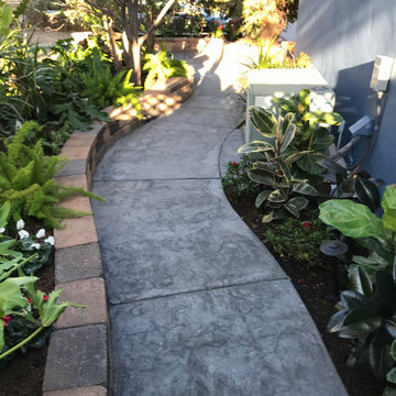 Curved Garden Pathway & Landscape Transformation