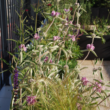 Là-haut - Terrasse
