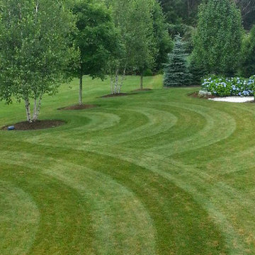 Our Work