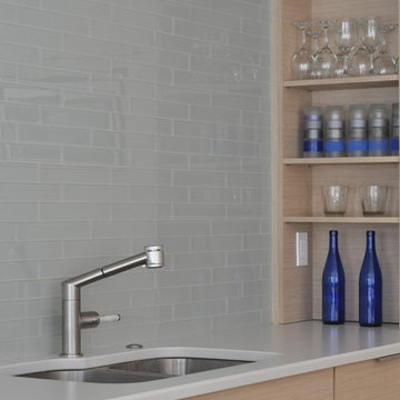 Modern Minimalist Kitchen