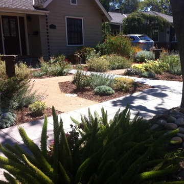 Formal Garden with low water plants to replace traditional Cottage plants