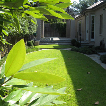 Backyard Design