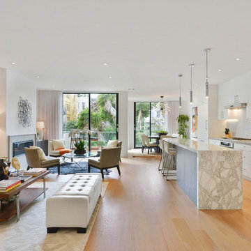 Duboce Park Duplex