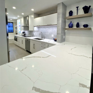Waterfront contemporary