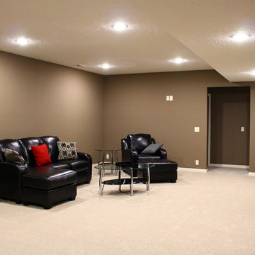 Andreasen Meadows Model