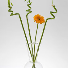 accessori home