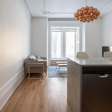 Le Plateau Mont-Royal