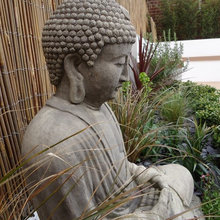 Garden Ideas