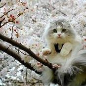 أمل حسن's photo