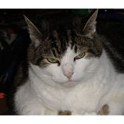 Debra van buren's photo