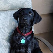 Chris Moran's photo