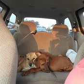 Susan Ingraham's photo