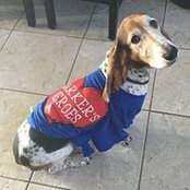 Dana Pappas's photo