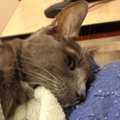 Shelley Herbold's photo