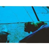 Christine Rho's photo