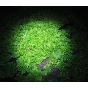 Nicholas Welty's photo