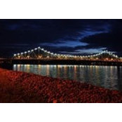 Monique B.Drapeau's photo
