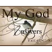 Shawn Wylie's photo