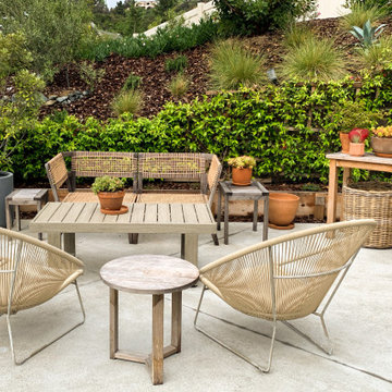 Encinitas Organic Modern