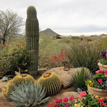 Arizona Landscaping