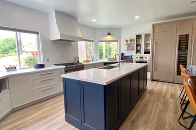 Inspiration for a kitchen remodel in San Diego