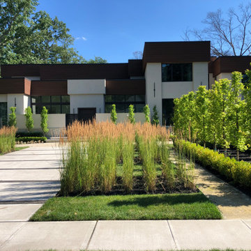 Lakewood modern