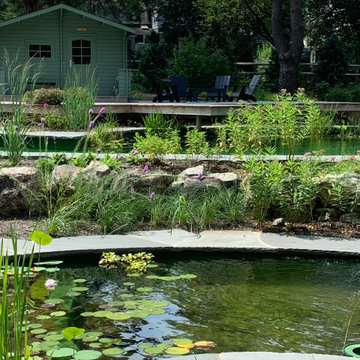 Bio Pool Landscape