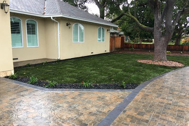 Large modern front yard full sun driveway in San Francisco with concrete pavers for summer.