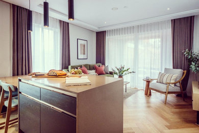 Design ideas for a contemporary living room in Other.