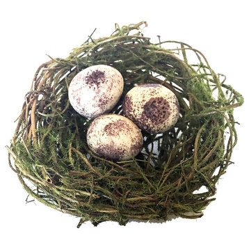 Bird's Nest with Brown Eggs