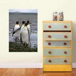 National Geographic Murals - Wall Decals