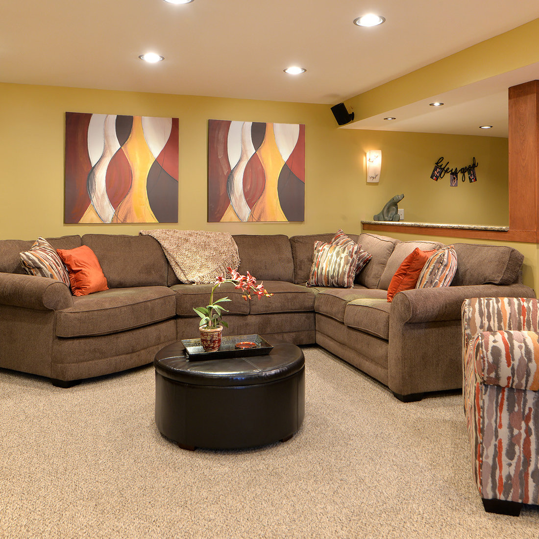 Basement Renovation