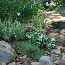 creekside