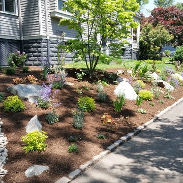 Perennial Garden