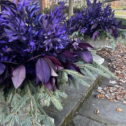 Container Gardening and Holiday Displays - Products