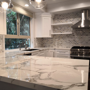 SHERMAN OAKS RENOVATION