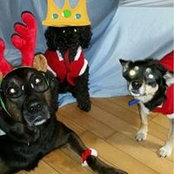 Ray-Joanne Leger's photo