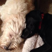 Sandy Steele's photo