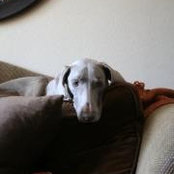 Jenn Hydeman's photo