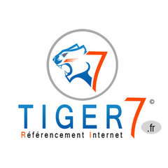 TIGER 7 REFERENCEMENT MONTPELLIER GROUPE IDMEDIAS