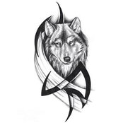 David Clawson's photo