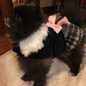 Leanne Kruse's photo