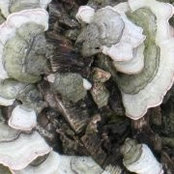 Allana Smith-Slager's photo