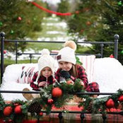 Lisa Malone's photo