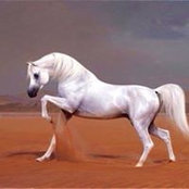 عبدالله المطيري's photo
