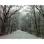 Foto von Sharon Bridgeman Britton