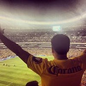 Miguel Angel's photo