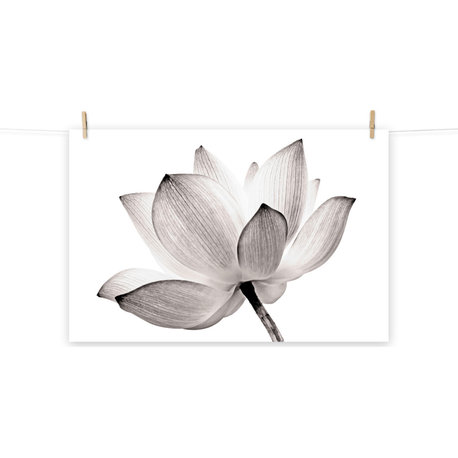 Gray Floral Wall Art - Lotus Flower Tinted Nature Photo Print, 11" X 14"