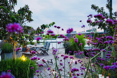 Terrasse in Köln