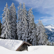 Winter related artwork - Photos and Paintings with lots of snow